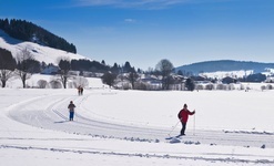 Bernau Schwarzwald: Loipe beim Ortsteil Hof.  Michael Arndt